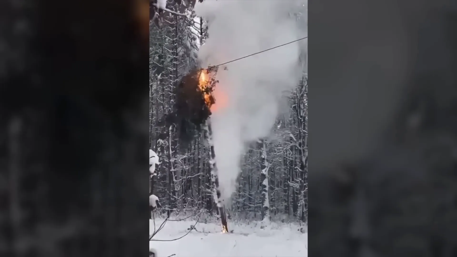 נזקי אסון חשמלי