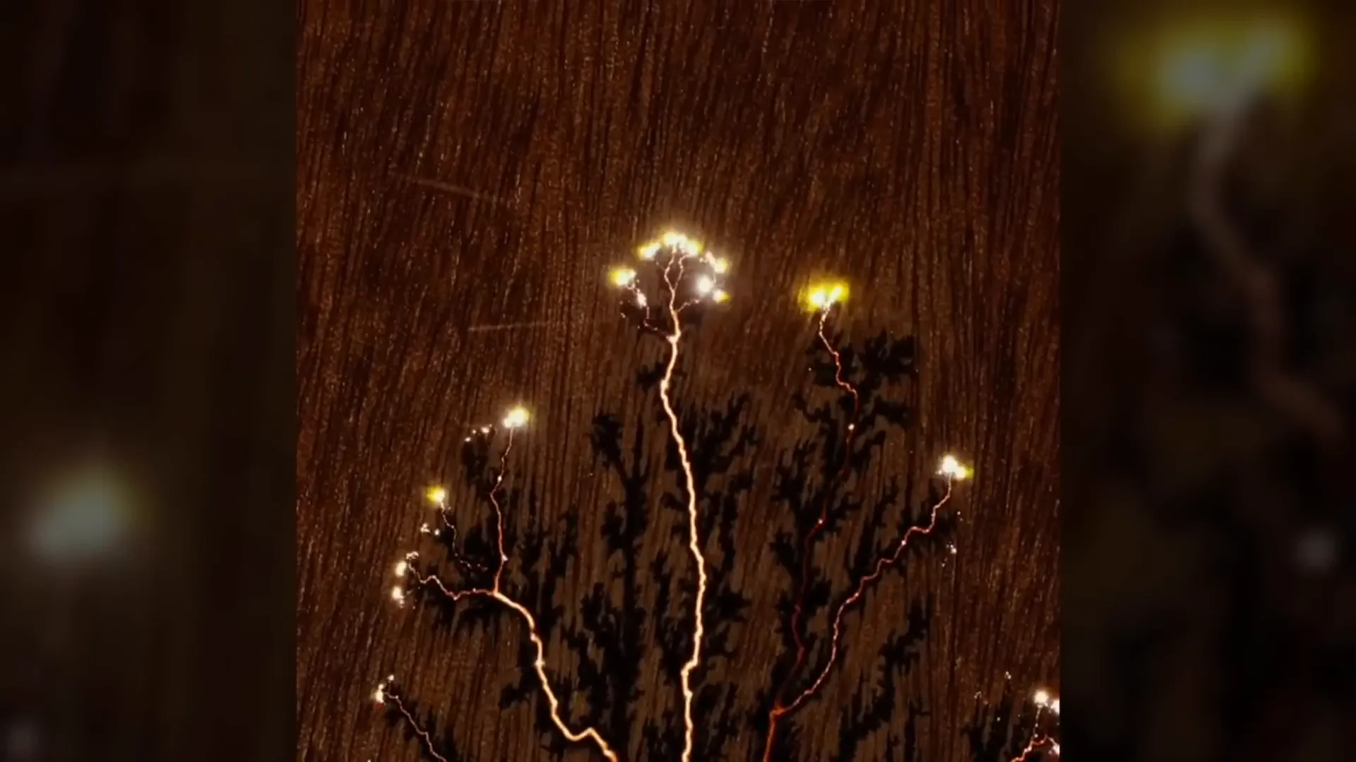 חשמל זורם בעץ